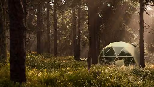 Cocoon dans un univers bien-être