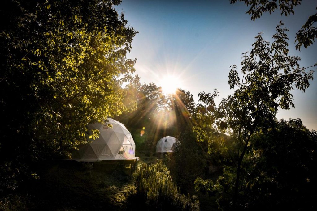 Cocoon Glamping installé parmi les arbres